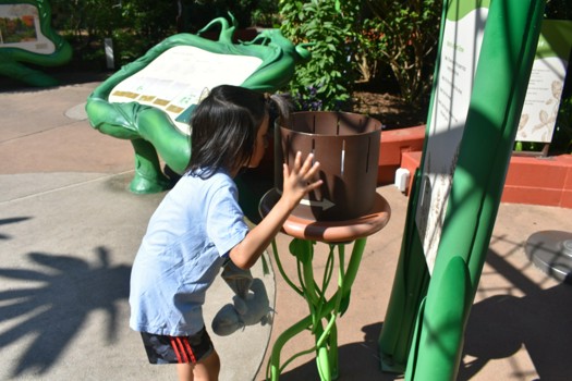 Child engaging in an activity