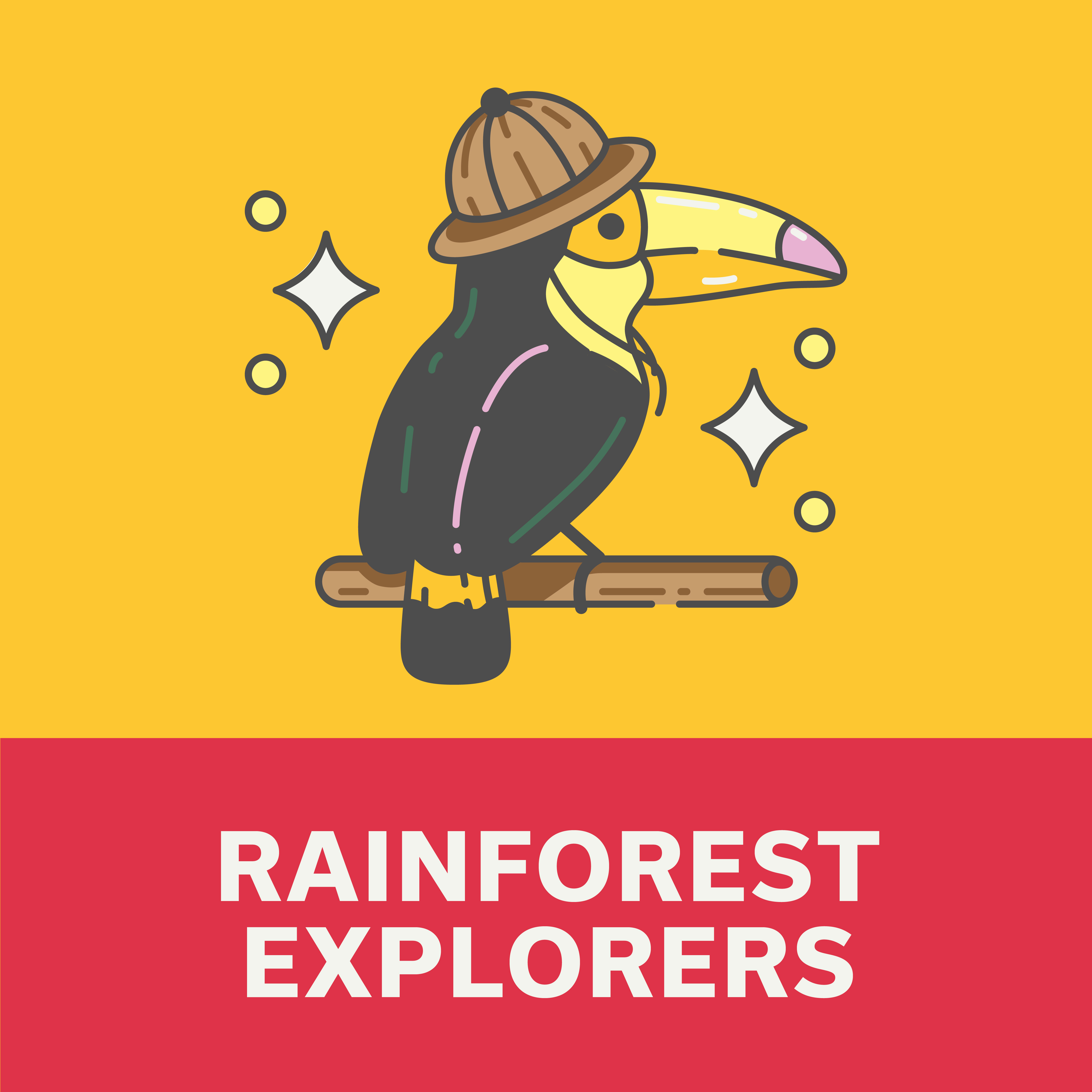 Summer Camp: Rainforest Explorers