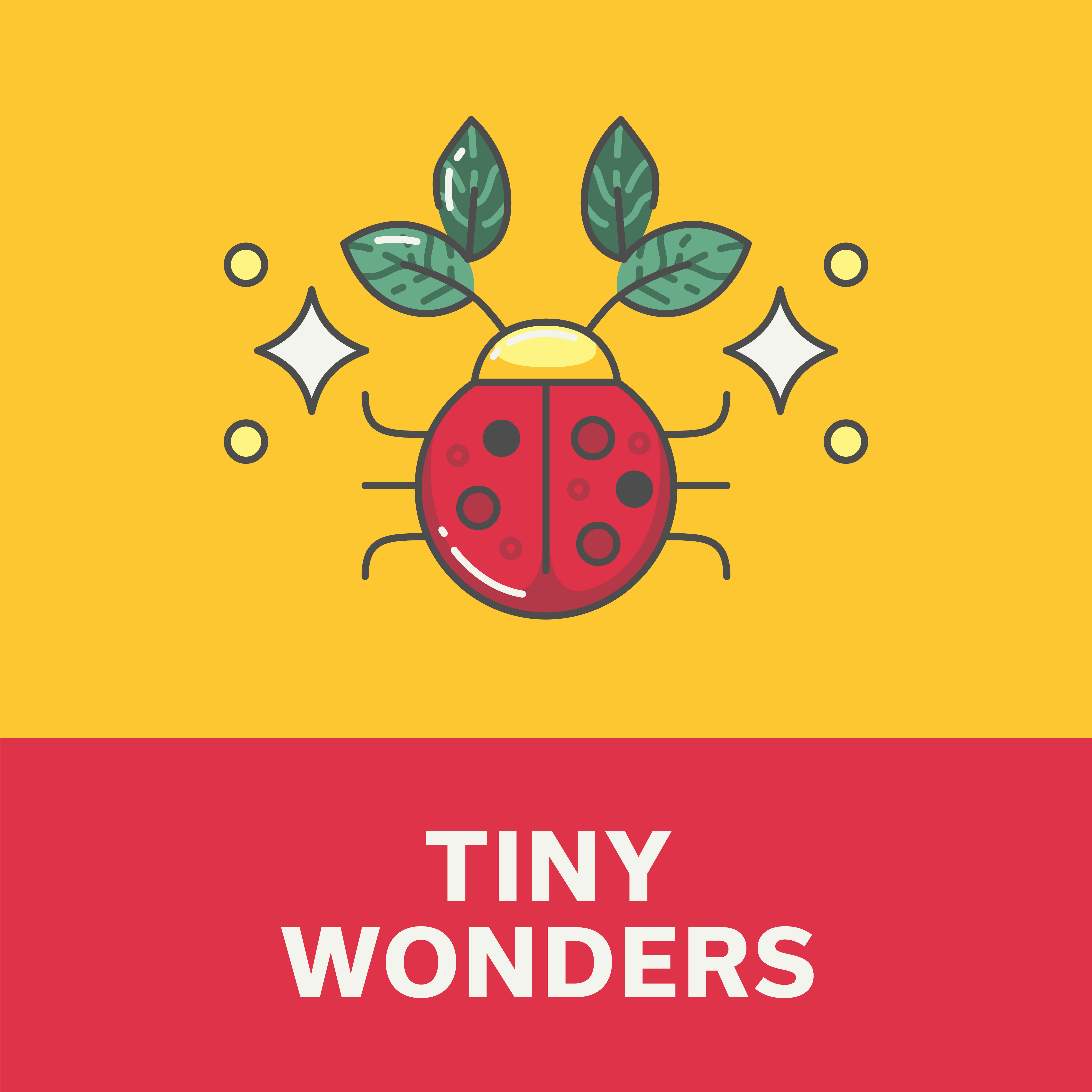 Summer Camp: Tiny Wonders