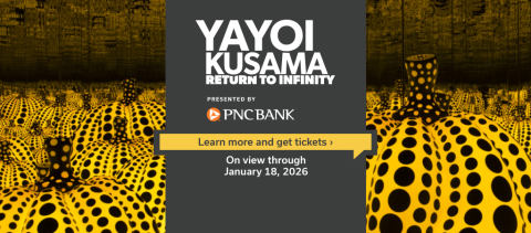 Yayoi Kusama: Return to Infinity