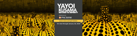 Yayoi Kusama: Return to Infinity
