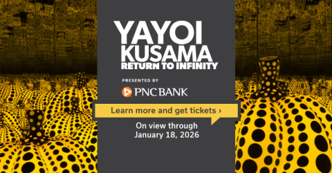 Yayoi Kusama: Return to Infinity