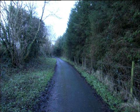 200811still06.jpg
